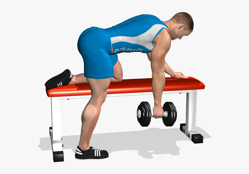 One Arm Dumbbell On Flat Bench Involved - Dumbbell Row Png, Transparent Png, Free Download