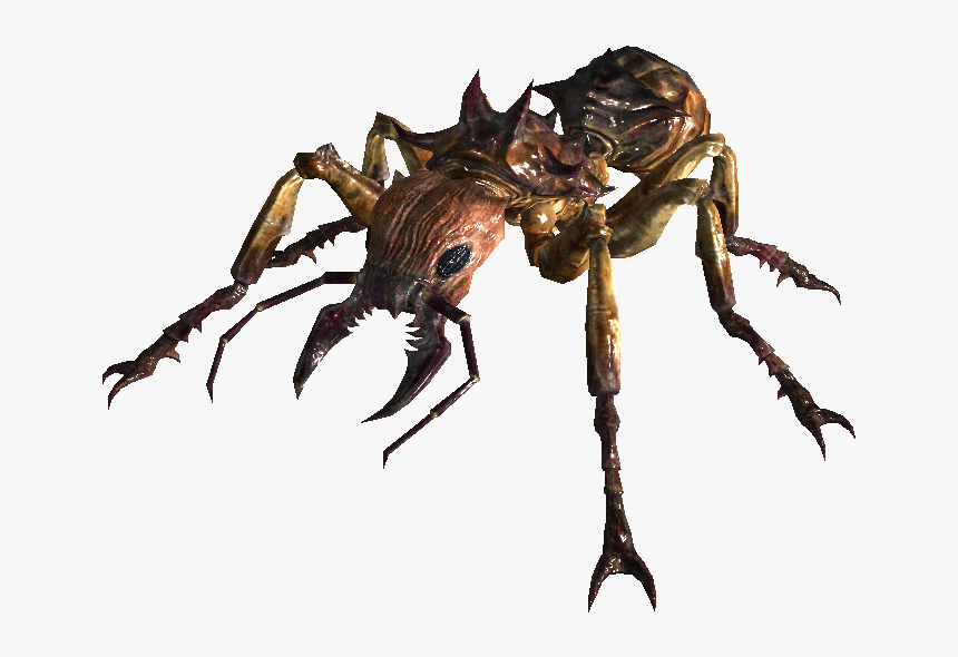 Non-alien Creatures Wiki - Fallout 3 Giant Ant, HD Png Download, Free Download