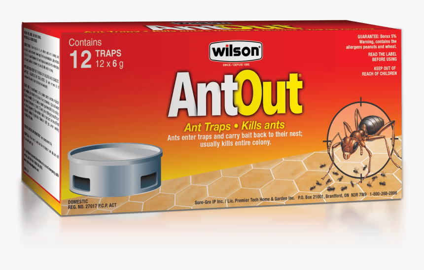 Wilson Antout Ant Traps Pack Of - Wilson Ant Trap, HD Png Download, Free Download