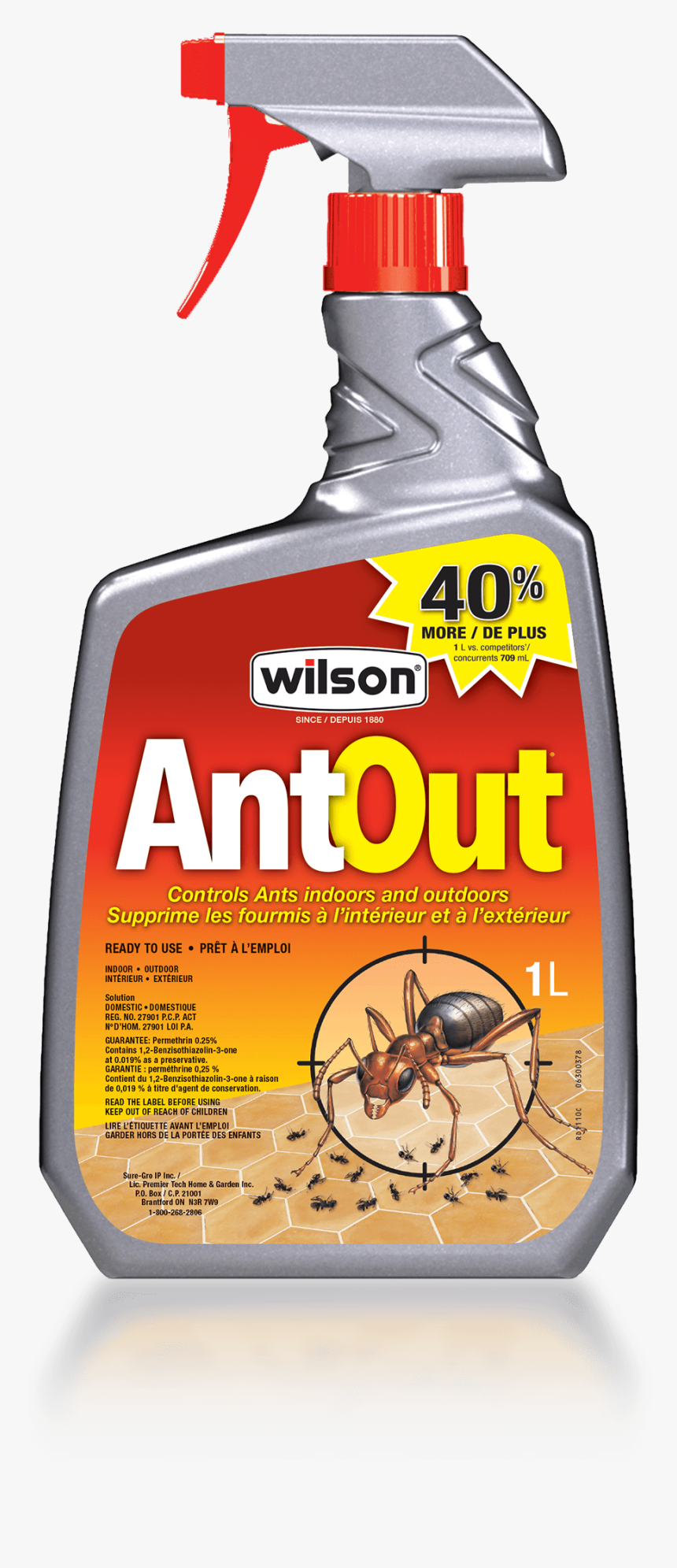 Wilson Antout - Wilson Ant Out, HD Png Download, Free Download