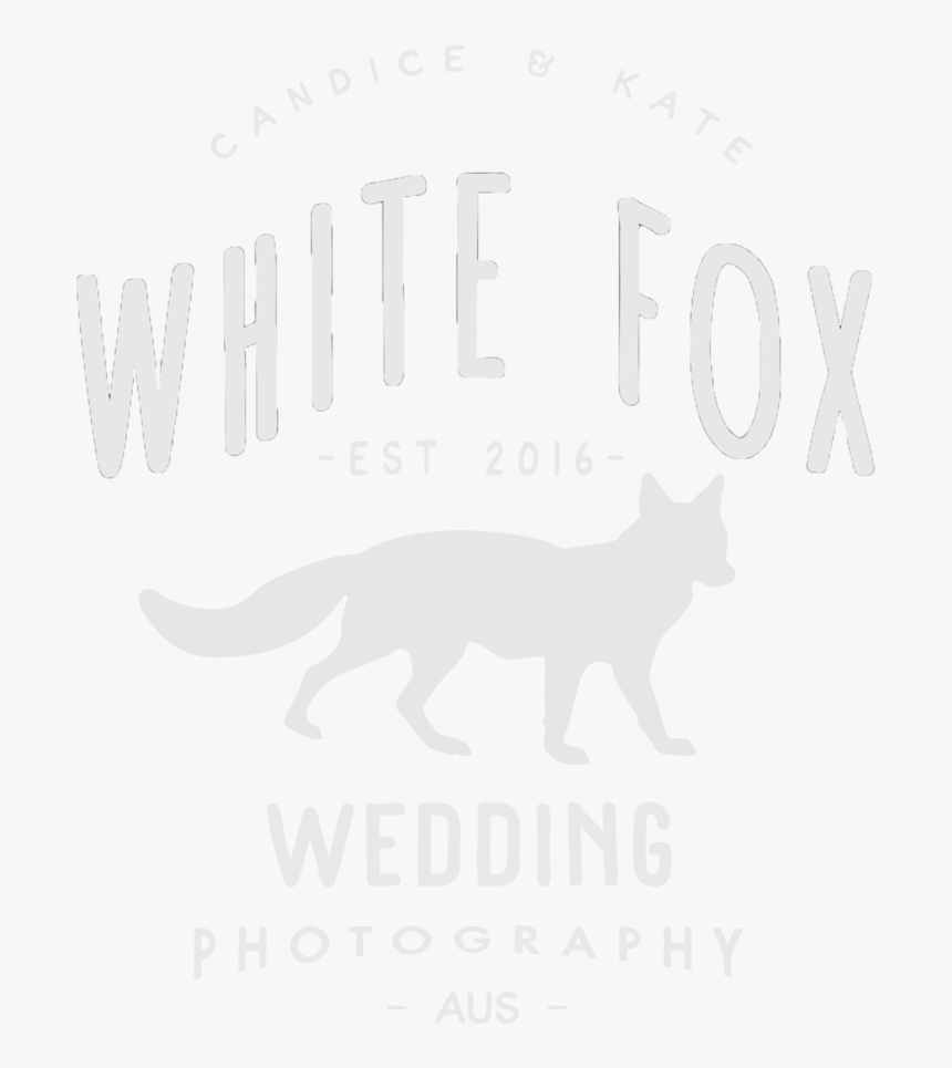 Fox Shine Png , Png Download - Cat, Transparent Png, Free Download