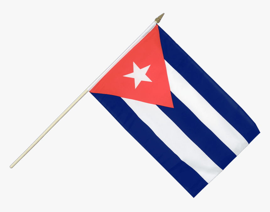 Puerto Rico Flag On Stick, HD Png Download, Free Download