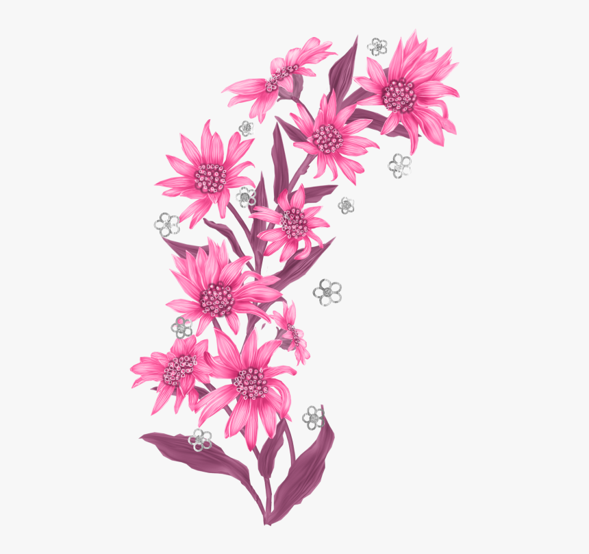 February 2016 « Archive - Edelweiss Flower Png, Transparent Png, Free Download