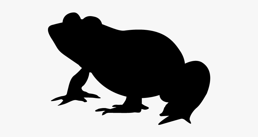 Frog February 29 Clip Art - Frog Silhouette Clipart, HD Png Download, Free Download