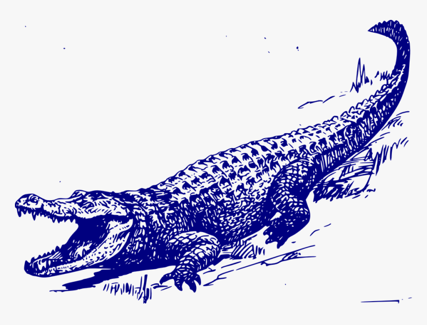 Alligator, Lying, Yawning, Blue - Alligator Black And White, HD Png Download, Free Download