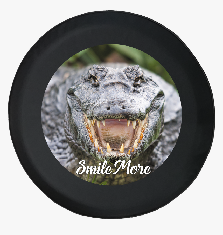 Meth Alligators, HD Png Download, Free Download