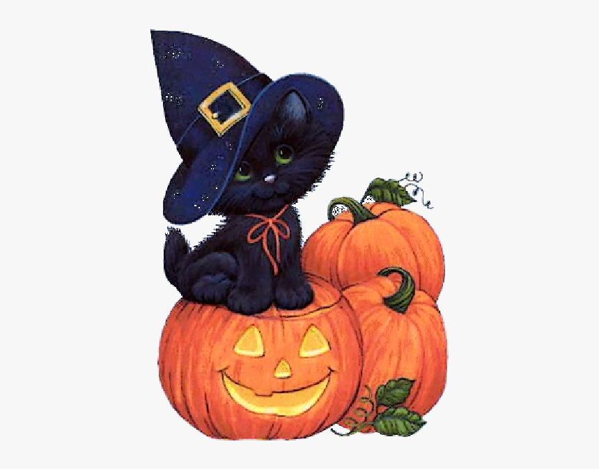 Halloween Party 31 October Blog Witch - Halloween Pumpkins And Cats, HD Png Download, Free Download