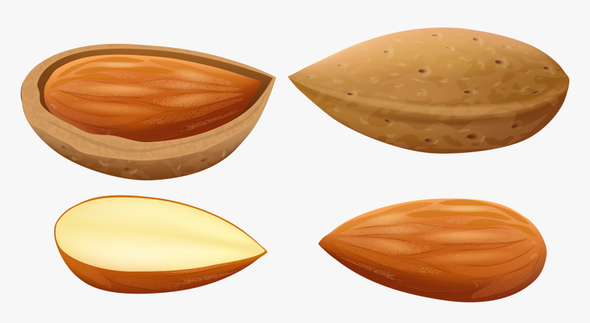 Almonds Png Clip Art - Almonds Clipart, Transparent Png, Free Download