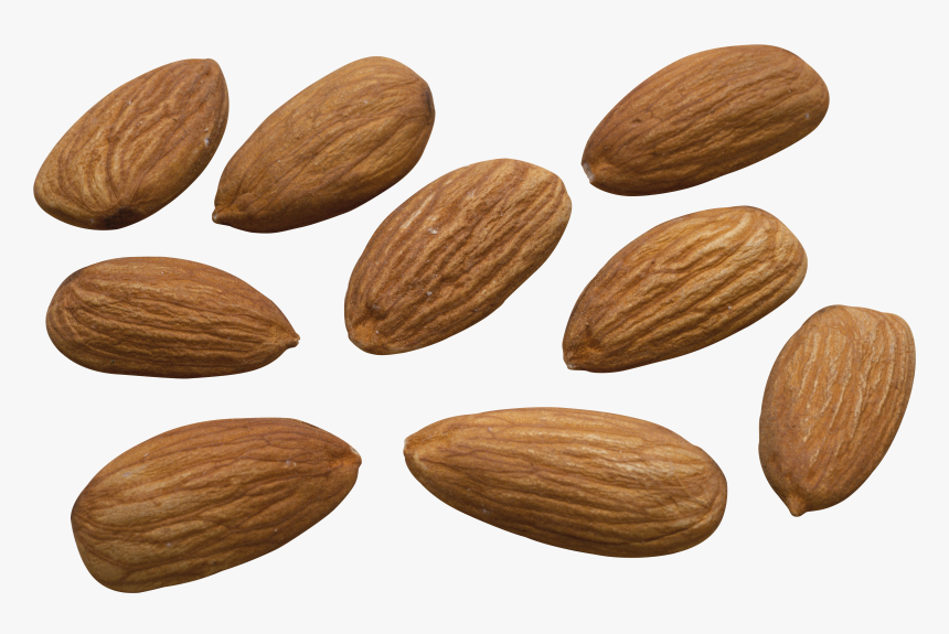 50682 - Almond High Resolution, HD Png Download, Free Download
