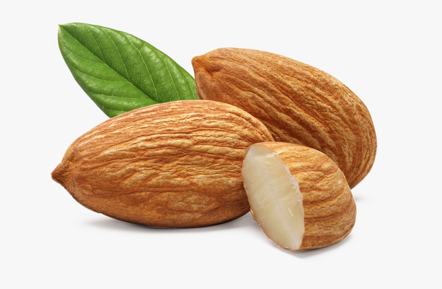 Almond Png, Transparent Png, Free Download