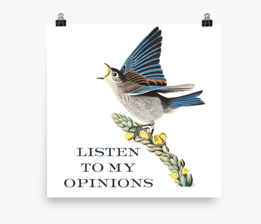 My Opinions"
 Srcset="data - Blue Bird, HD Png Download, Free Download