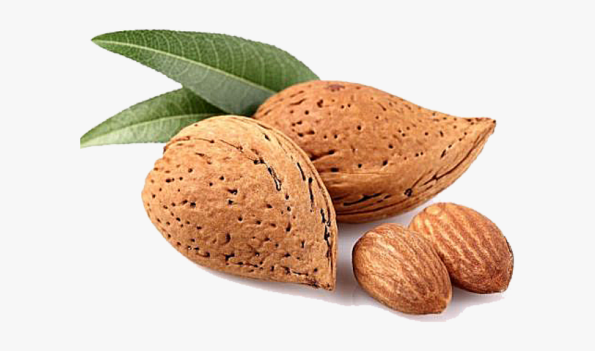 Almond Png Transparent Images - Types Of Almonds India, Png Download, Free Download