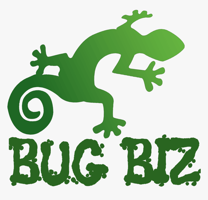 Bug Biz Reptile And Creepy Crawly Parties - Chameleon, HD Png Download, Free Download