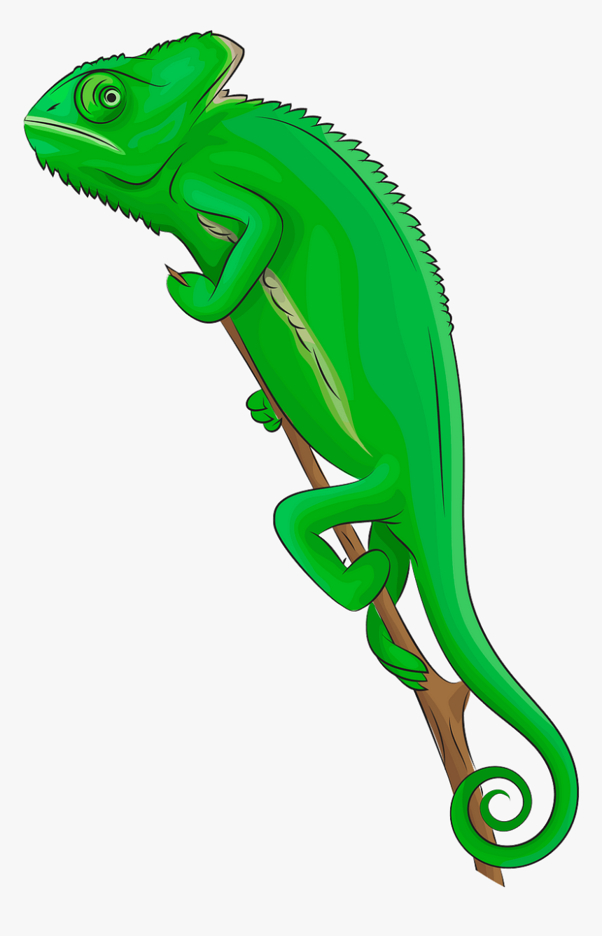 Reptiles 3d Clipart, HD Png Download, Free Download