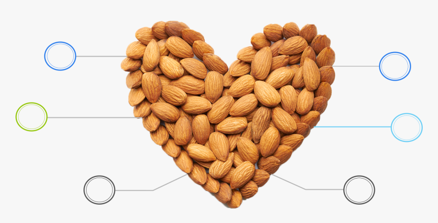 Benefits Of Almonds - Natural Source Of Protein, HD Png Download, Free Download