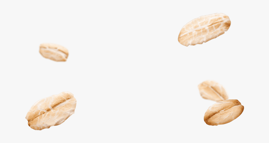 Almond - Transparent Oats Png, Png Download, Free Download