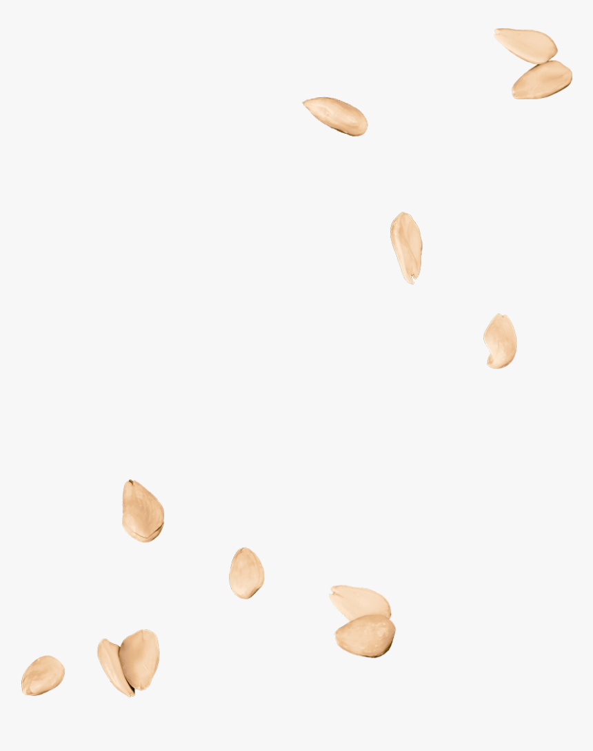 Tostate1 - Almond, HD Png Download, Free Download