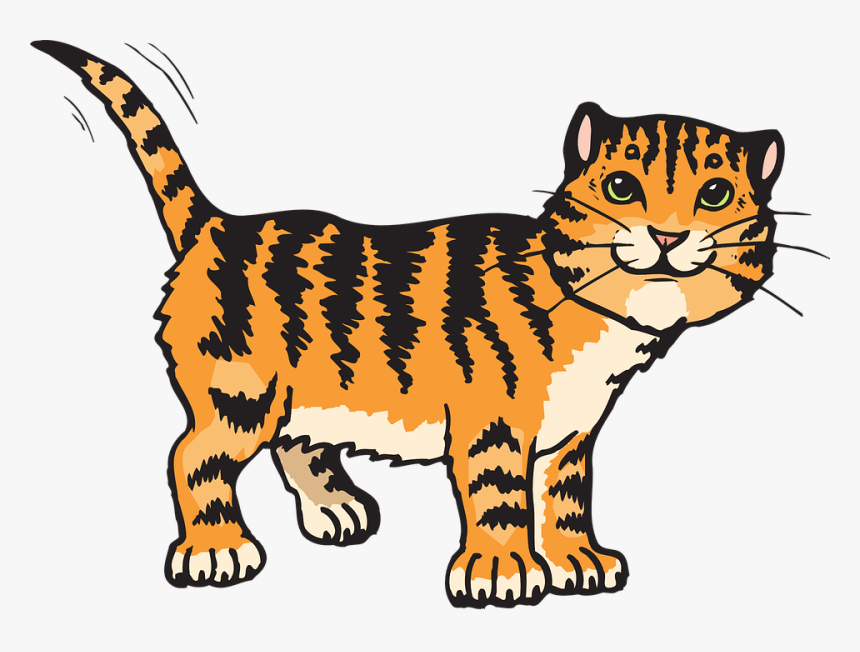 Cat, Stripes, Tiger, Animal, Tail, Whiskers, Striped - Cat Clipart, HD Png Download, Free Download
