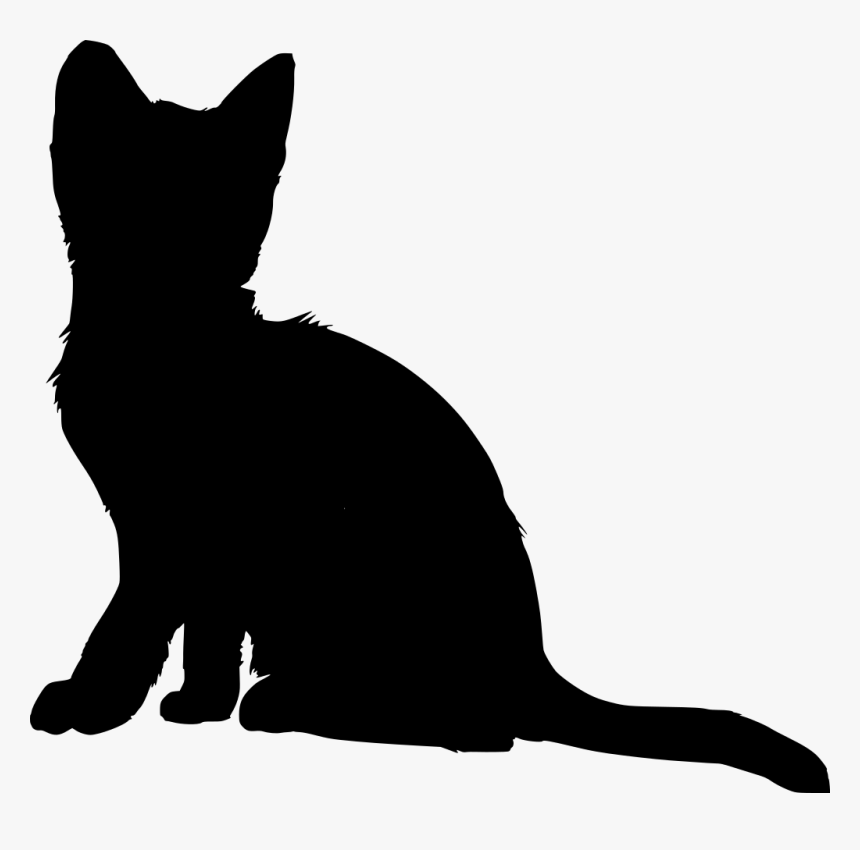 Kitten, HD Png Download, Free Download