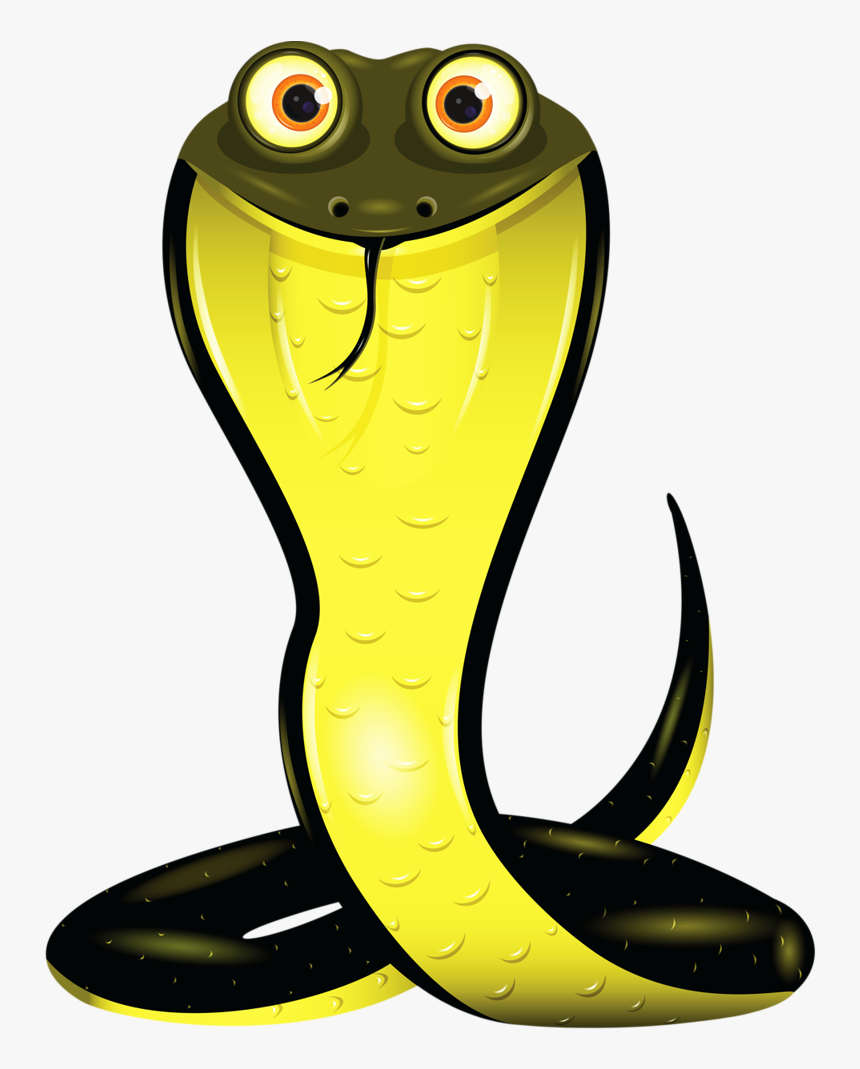Transparent Snake Cartoon Png - Snake With Big Head, Png Download, Free Download