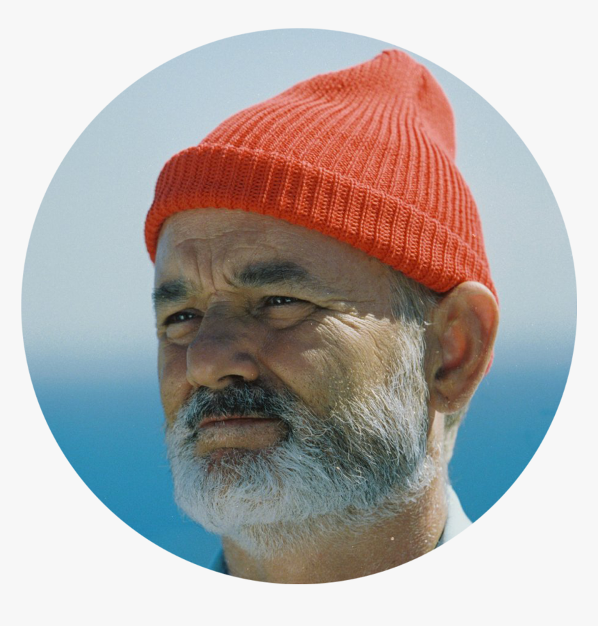 Director Life Aquatic Ganga Bill Murray Steve Clipart - Life Aquatic Bill Murray, HD Png Download, Free Download