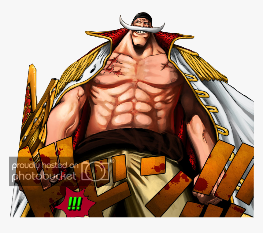 Fullsize Of Macho Man Meme - Barbe Blanche One Piece, HD Png Download, Free Download