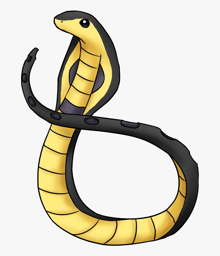 More Than Twelve Feet Long, The Snake Advanced, Holding, HD Png Download, Free Download
