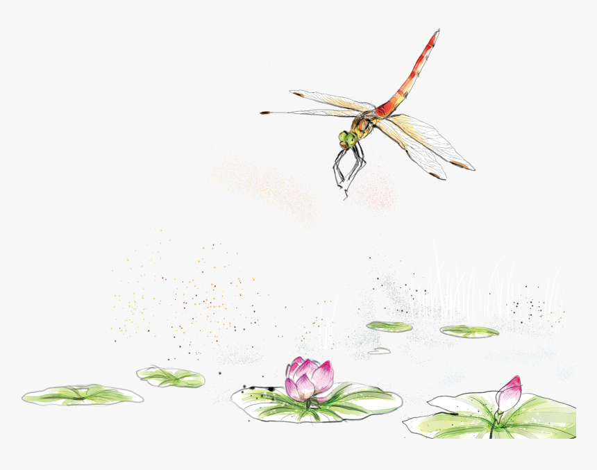 Transparent Dragonfly Png - Watercolor Dragonfly Transparent Png, Png Download, Free Download