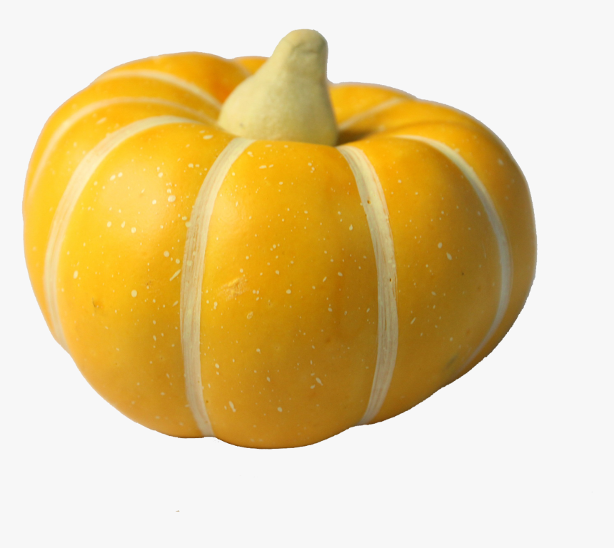 Pumpkin Calabaza Gourd Winter Squash - Pumpkin, HD Png Download, Free Download