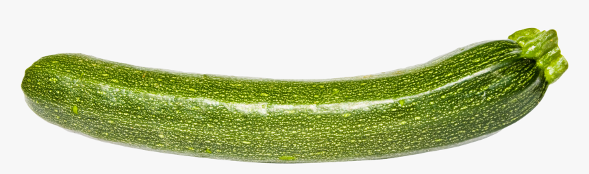 Zucchini, HD Png Download, Free Download