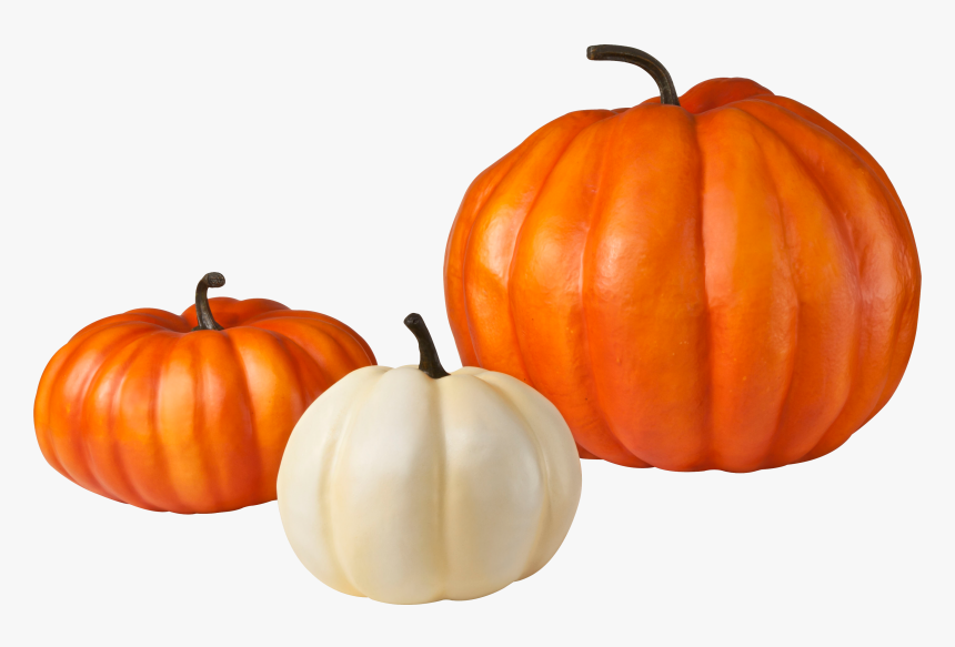 Pumpkin Pie Zucchini Vegetable - Pumpkin Png, Transparent Png, Free Download