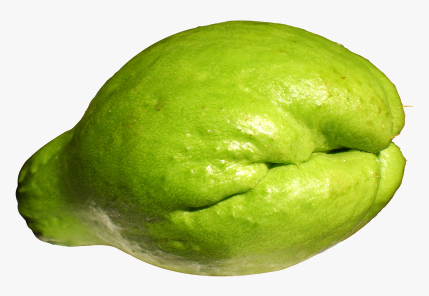 Fresh Chayote Png Image - Chayote Png, Transparent Png, Free Download