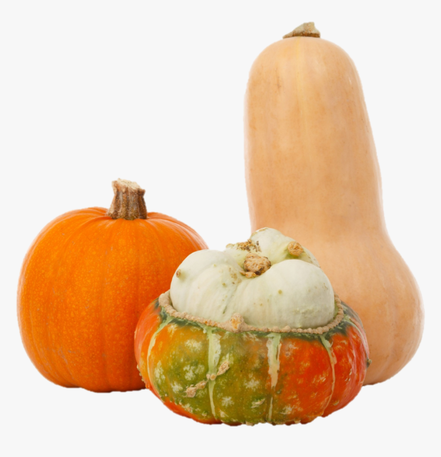 Hard Squash - Winter Squash, HD Png Download, Free Download