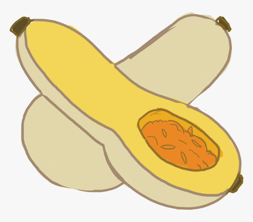 Transparent Butternut Squash Clipart - Baked Squash Clip Art, HD Png Download, Free Download