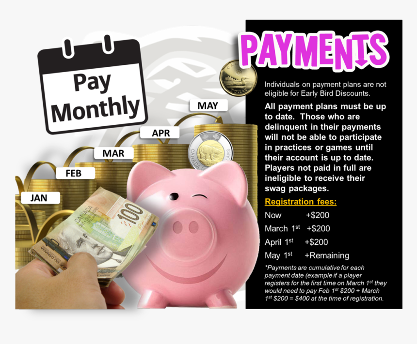 Individuals On Payment - Domestic Pig, HD Png Download, Free Download