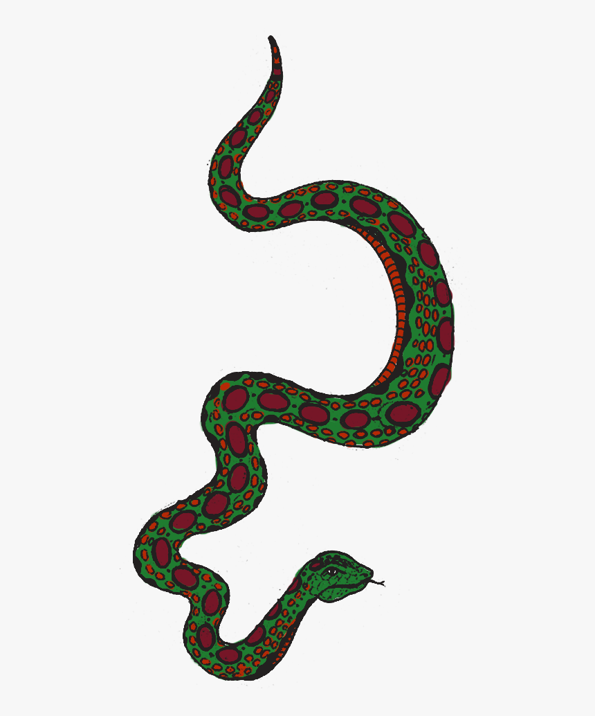 Snake Png, Transparent Png, Free Download