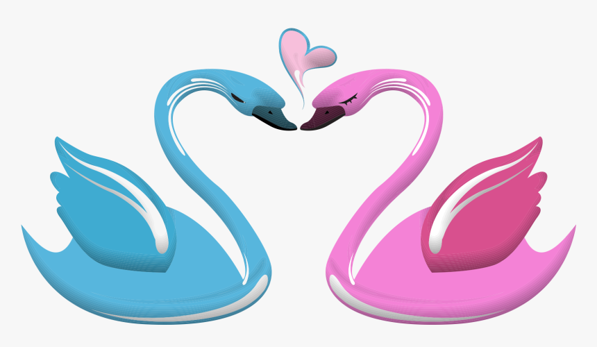 Swan Cartoon Png Clipart , Png Download - Blue Swan Bird And Pink Swan Bird, Transparent Png, Free Download