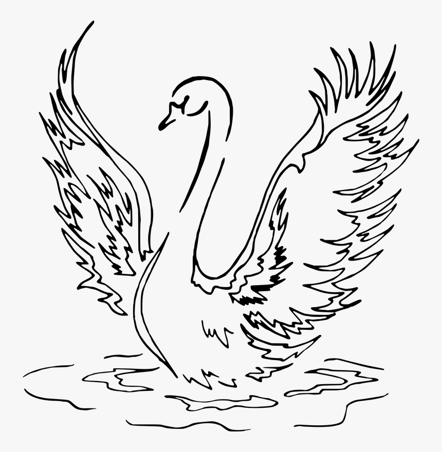 Landing Line Drawing Vector - Swan Lake Clip Art, HD Png Download, Free Download