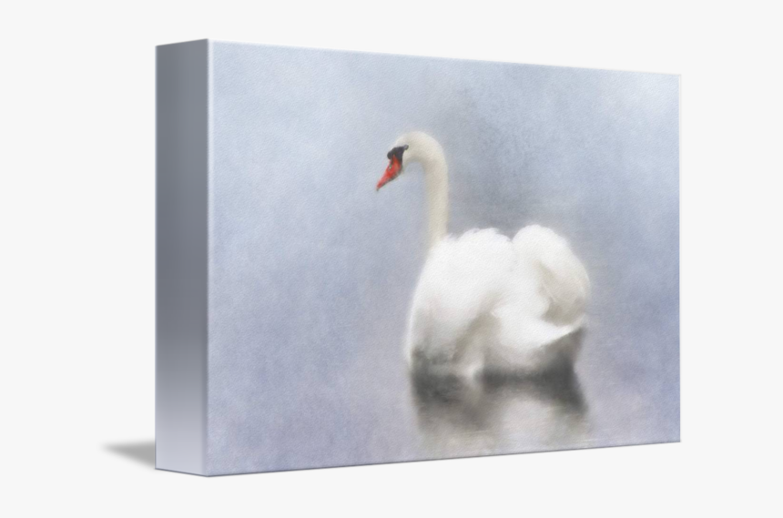 Transparent Swan Png - Swan, Png Download, Free Download