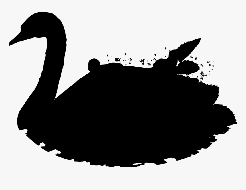 Black Swan, HD Png Download, Free Download