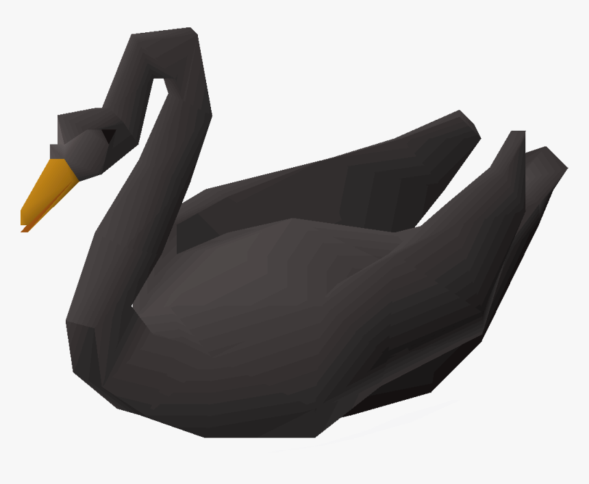 Duck, HD Png Download, Free Download