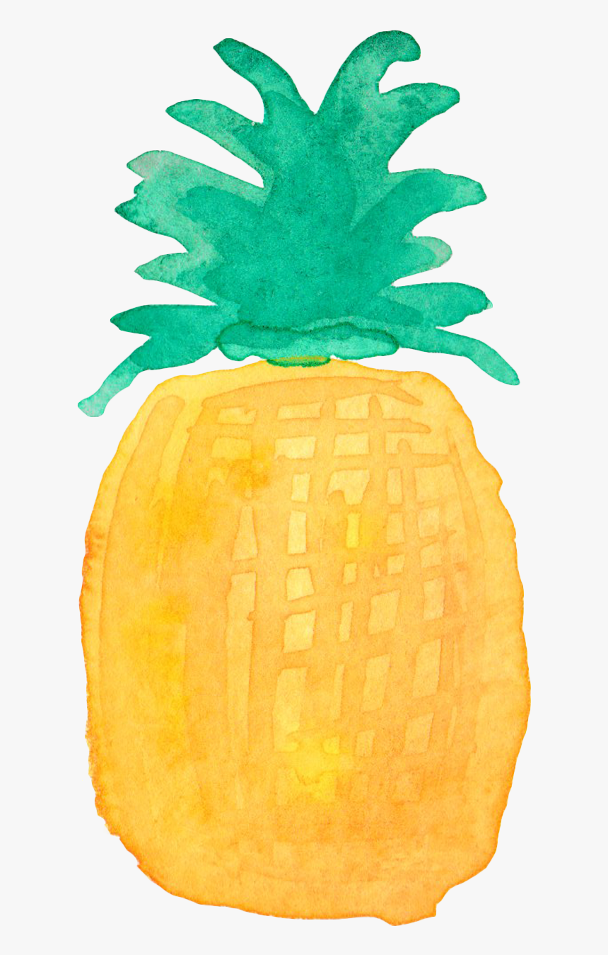 Pineapple Drawing Watercolor Painting - Watercolor Pineapple Drawing Png, Transparent Png, Free Download