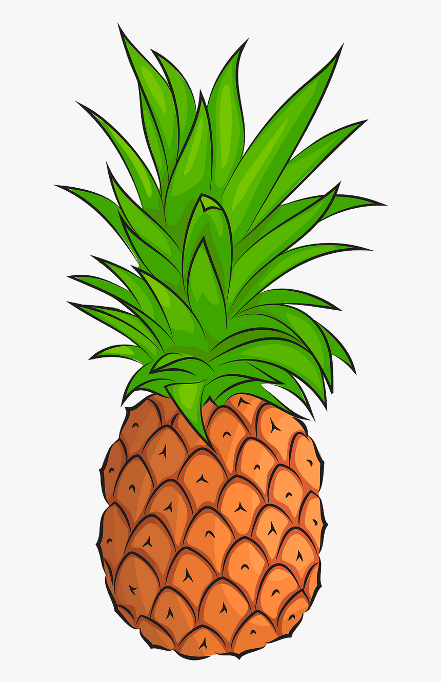 Pineapple Sliced In Half Clipart, HD Png Download, Free Download