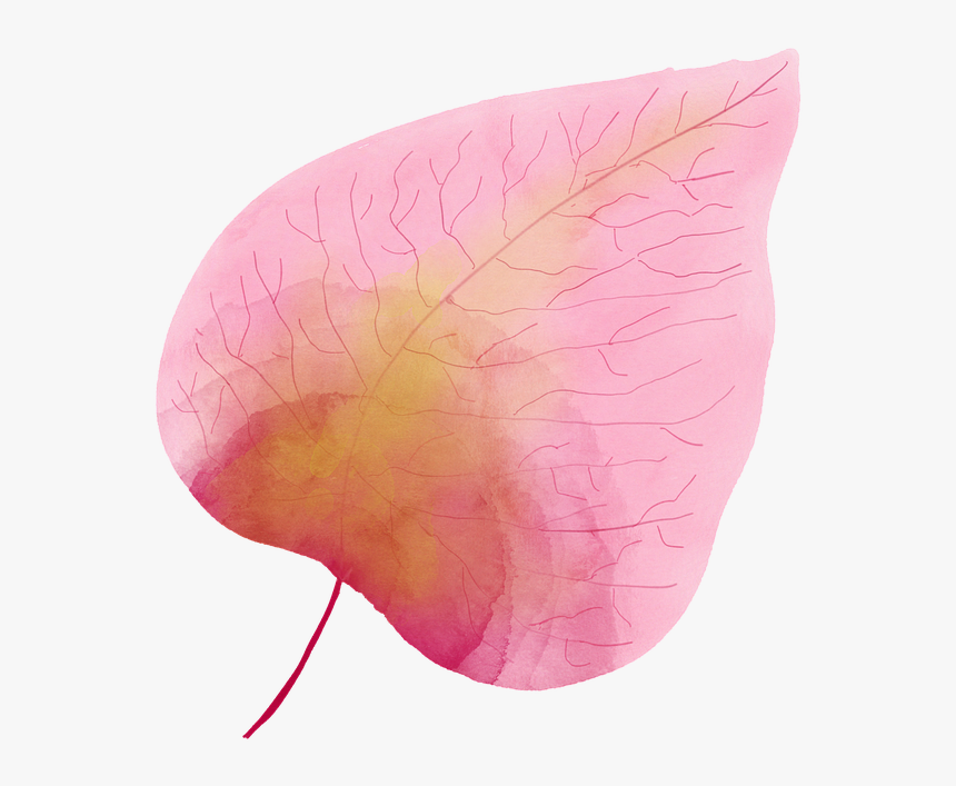 Watercolour, Watercolor Leaf, Pink, Pink Leaf - Pink Watercolour Leaf, HD Png Download, Free Download