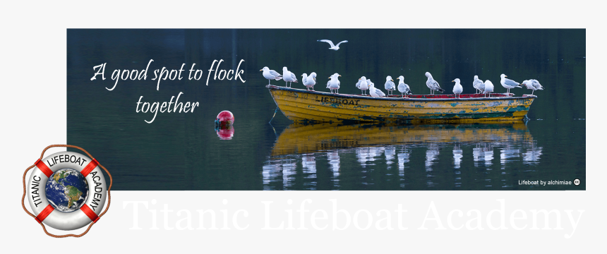Lifeboat Gull Masthead With Logo 6 A Compressed - Reflection, HD Png Download, Free Download