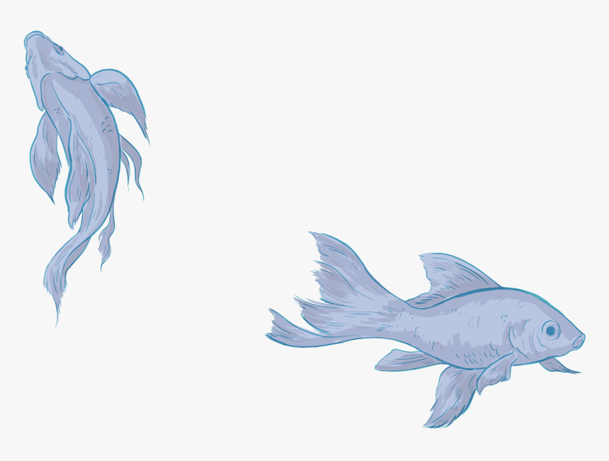 Shark, HD Png Download, Free Download