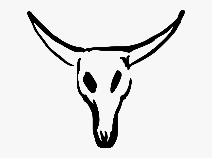 Texas Longhorn Animal Skulls Clip Art - Cow Skull Drawing Easy, HD Png Download, Free Download