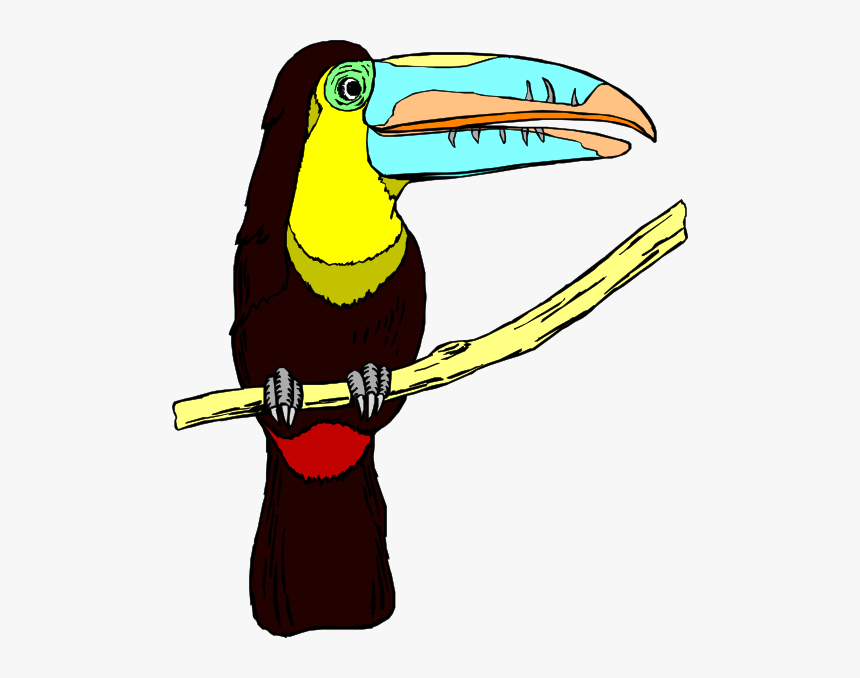 Perched Toucan Svg Clip Arts - Transparent Background Toucan Clipart, HD Png Download, Free Download