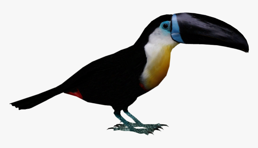 Toucan Png Clipart , Png Download - Tucan Png, Transparent Png, Free Download