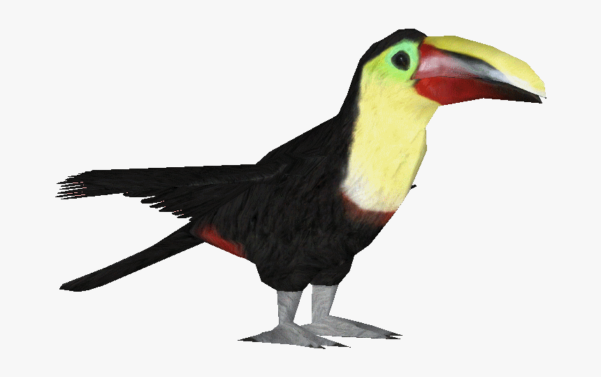 Toucan - Transparent Flying Toucan, HD Png Download, Free Download